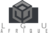 Logo footer LGU afrique