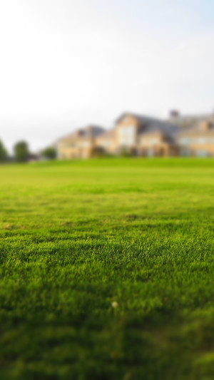 Achat ou vente de biens immobiliers