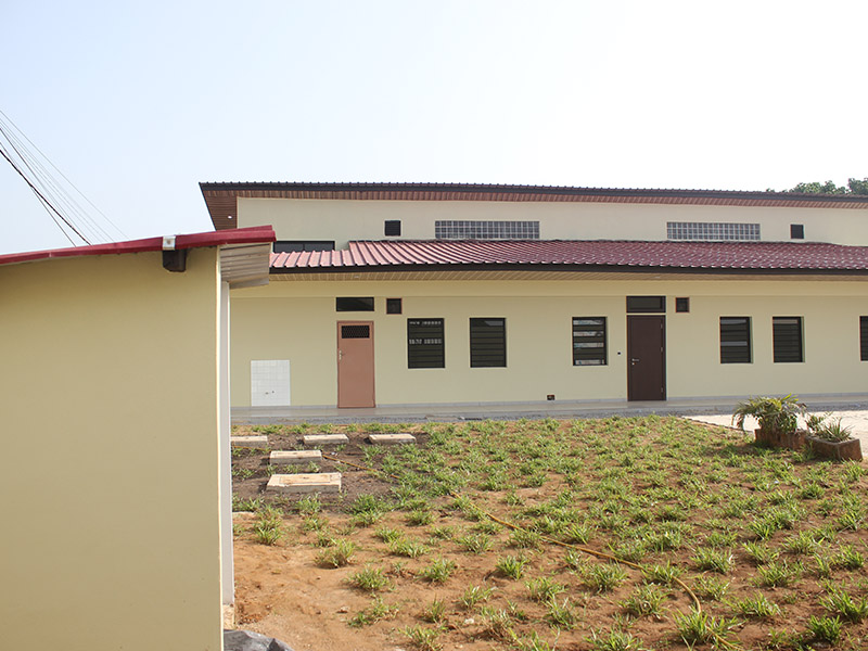 Travaux d'engazonnement